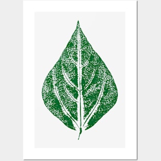 Bean Leaf Posters and Art